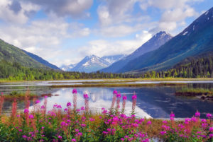 Alaskan mountain and lake landscape.